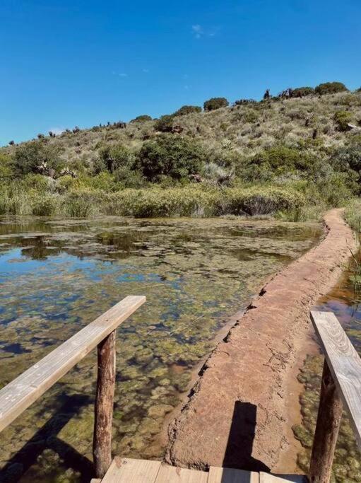 Owl Cottage - Living The Breede Malgas Экстерьер фото